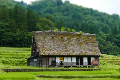 兩部門：選擇40個縣開展傳統村落集中(zhōng)連片保護利用(yòng)示範